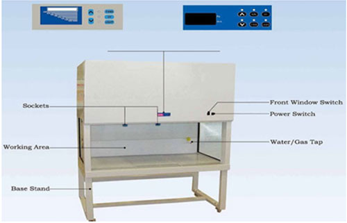 Bio Genomics Asia