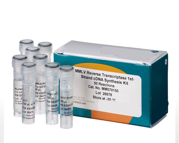 Reverse-Transcriptase-First-Strand-cDNA-Synthesis-Kit.jpg