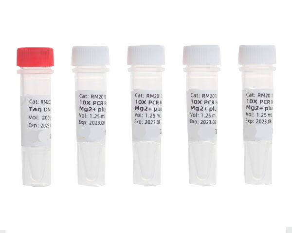 Taq-DNA-Polymerase-Mg-2-Plus-Buffer.jpg