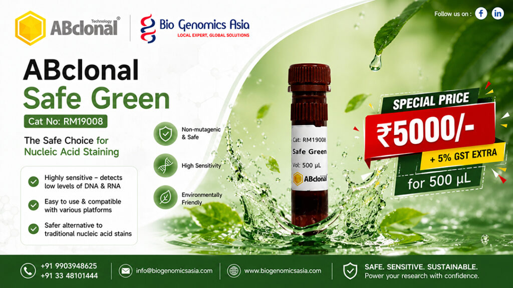 Safe Green_Offer